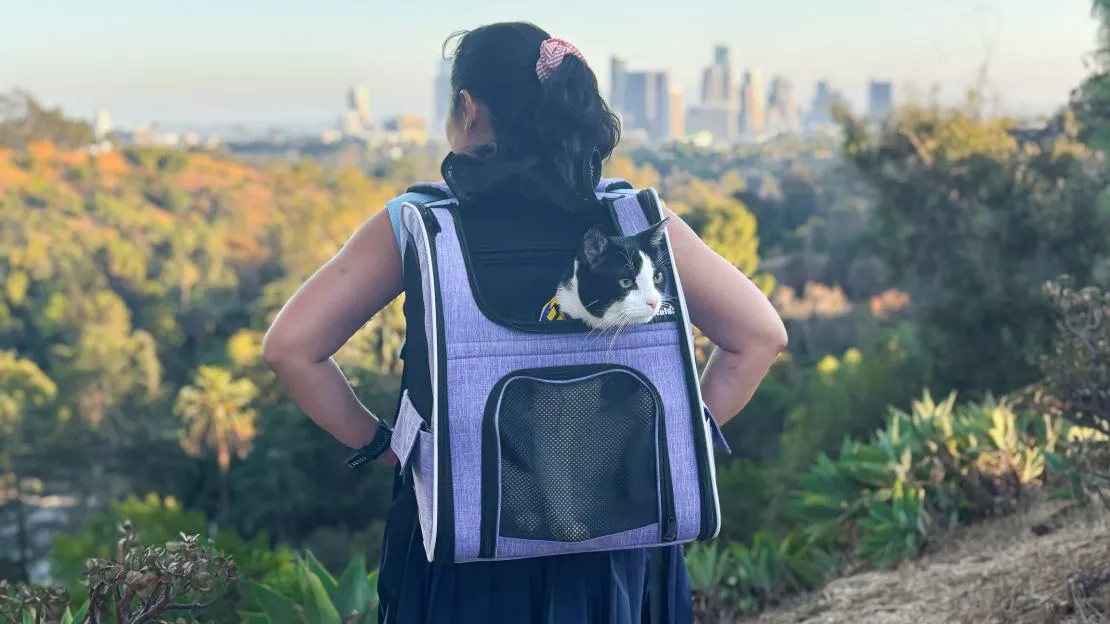 image of kitchenware collection (for a home goods store)