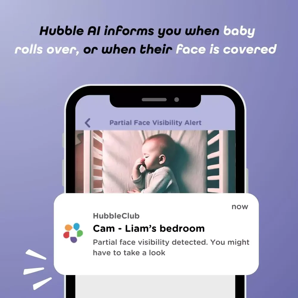 Full AI Suite, No Subscription