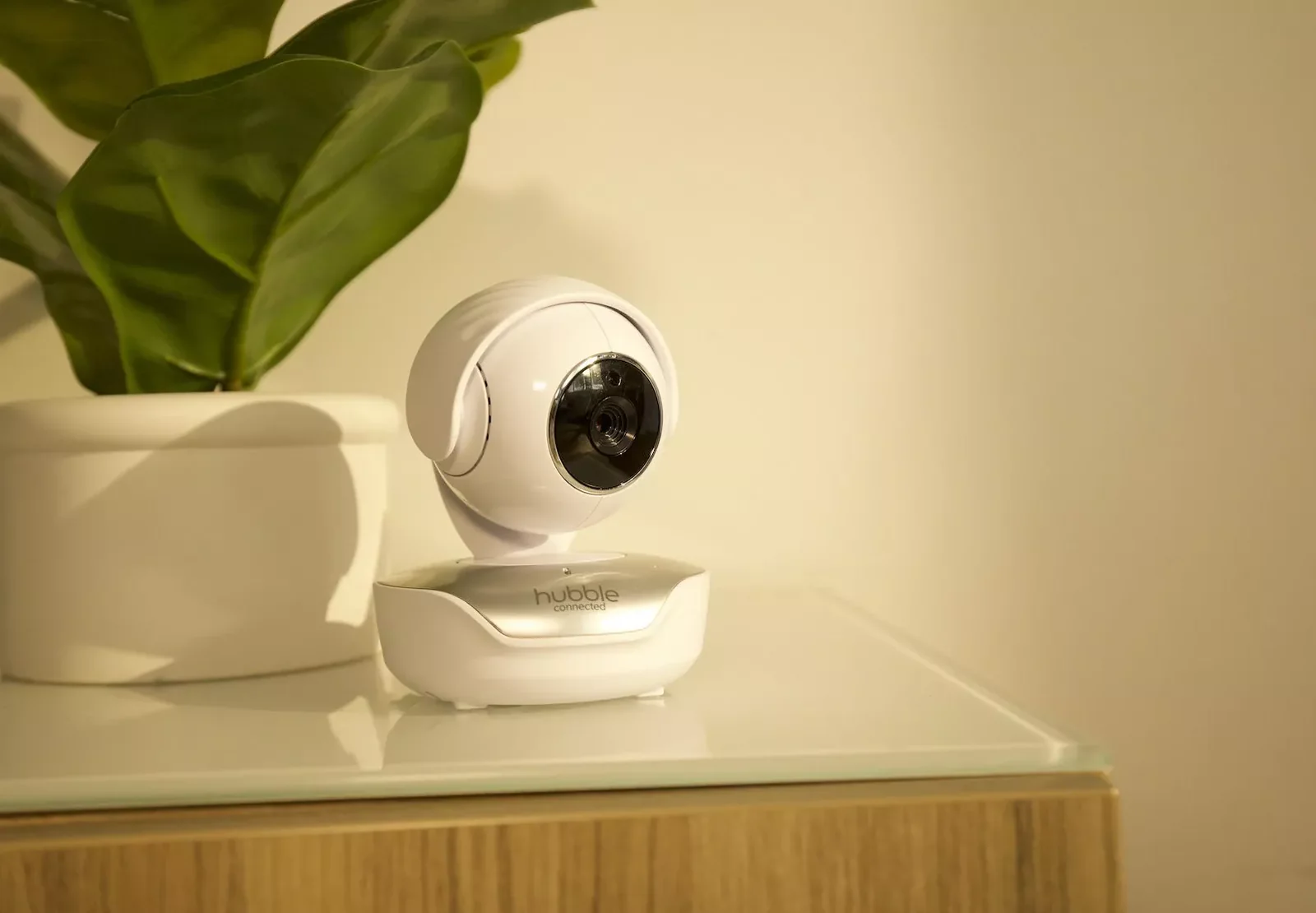 Alexa Compatible & Privacy Shield