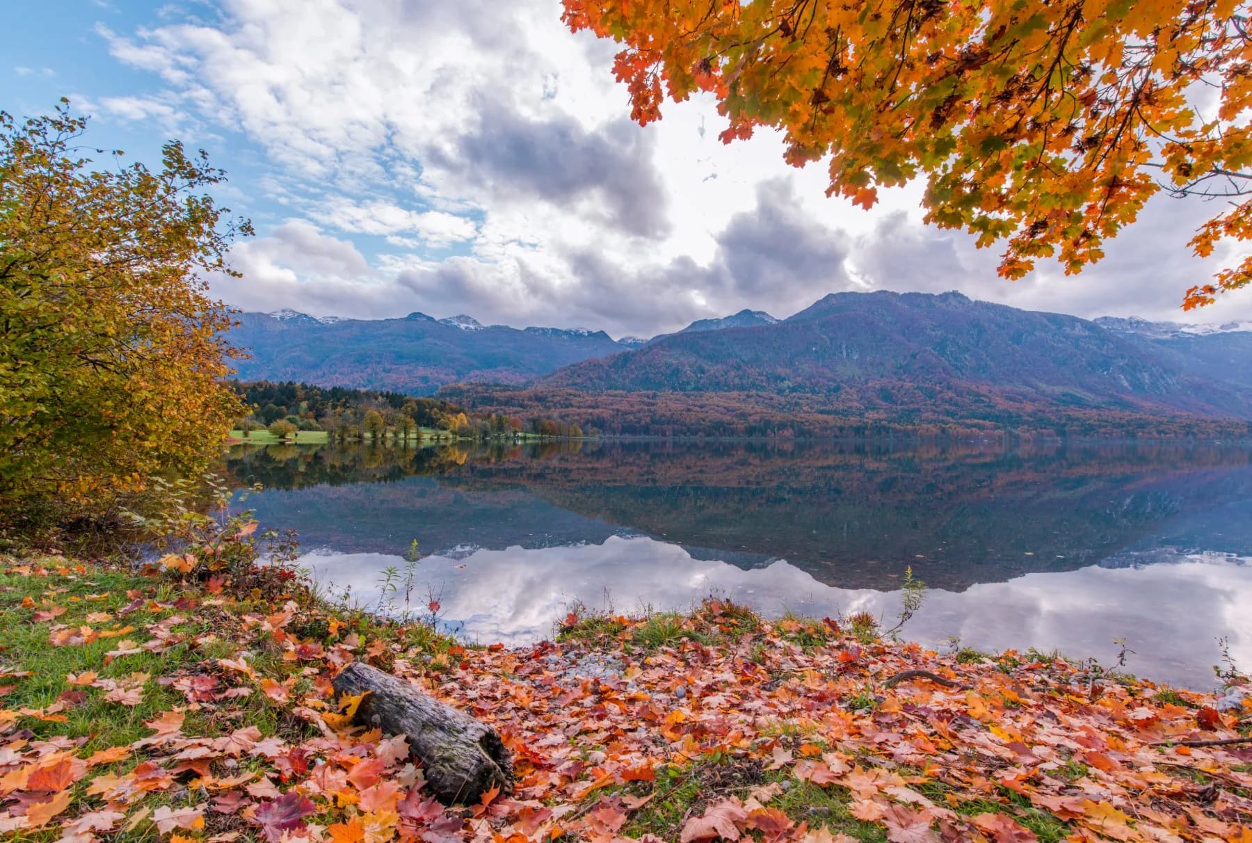 Het meer van Bohinj in herfstkleuren, met gevallen esdoornbladeren op de oever en eerste sneeuw op de bergen.