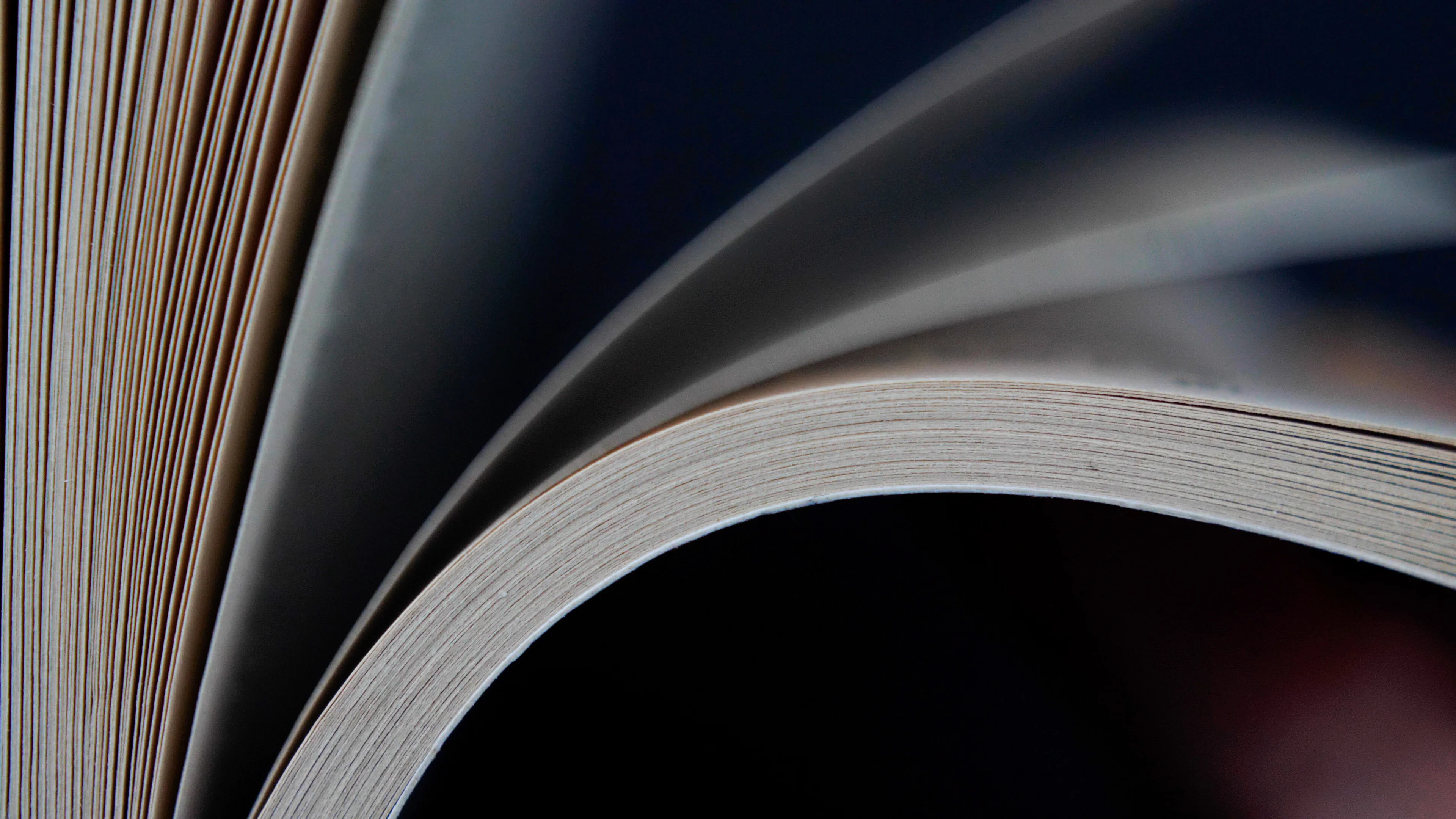 The curled pages of a book being flipped through.