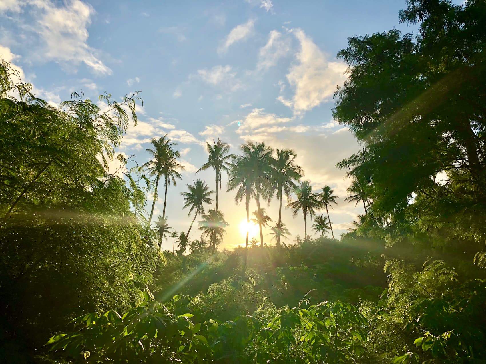 sunset on fijian island