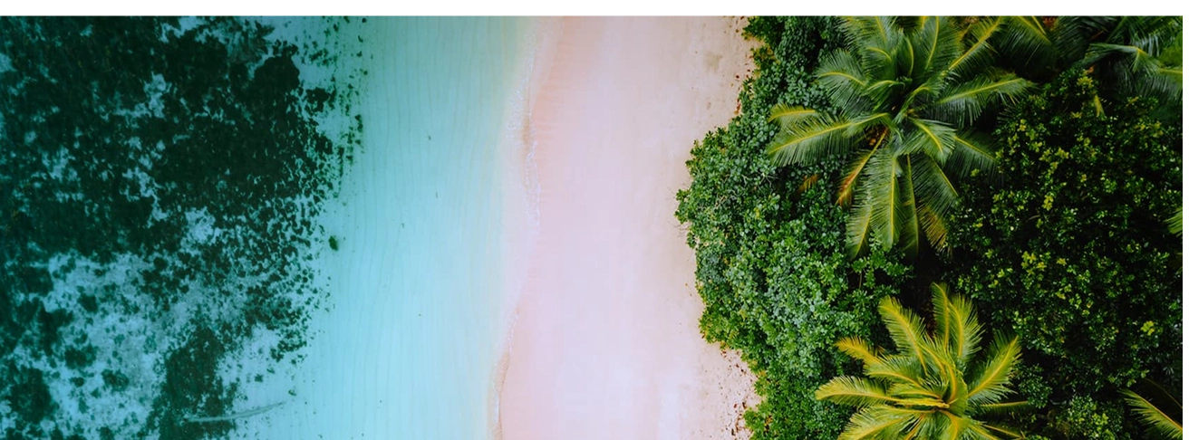 aerial view of beach