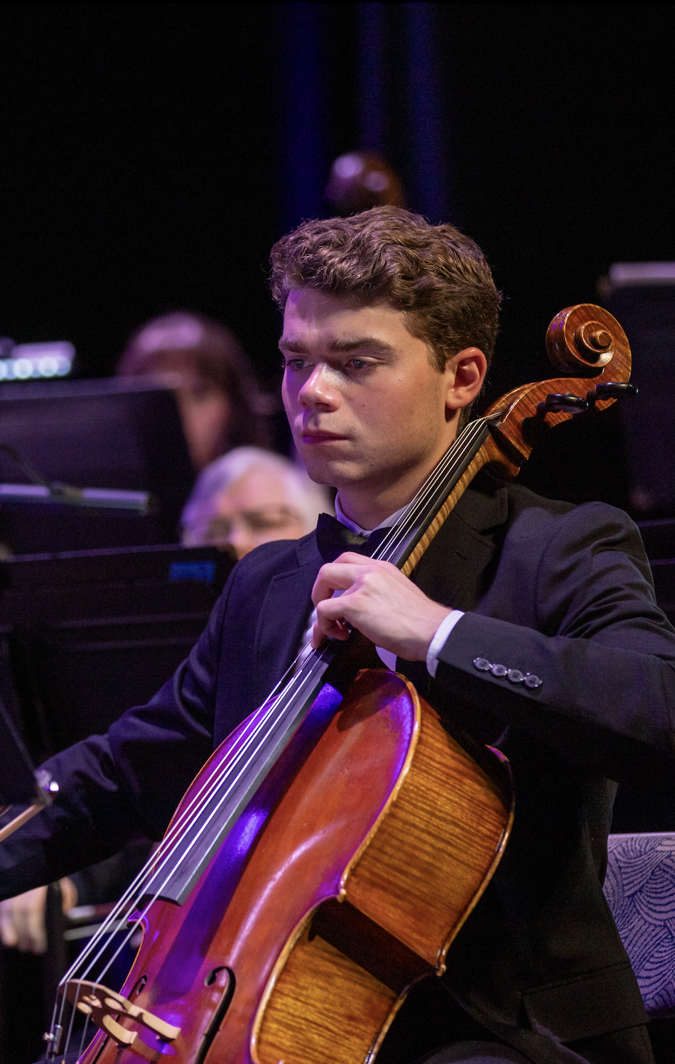 image of a music concert