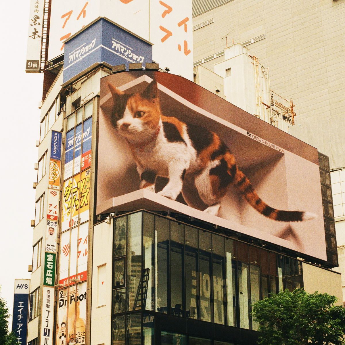 A curved digital billboard displaying a three-dimensional image of a Calico cat so it appears to be extending out of the billboard frame.