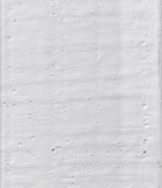 fiberglass competitor