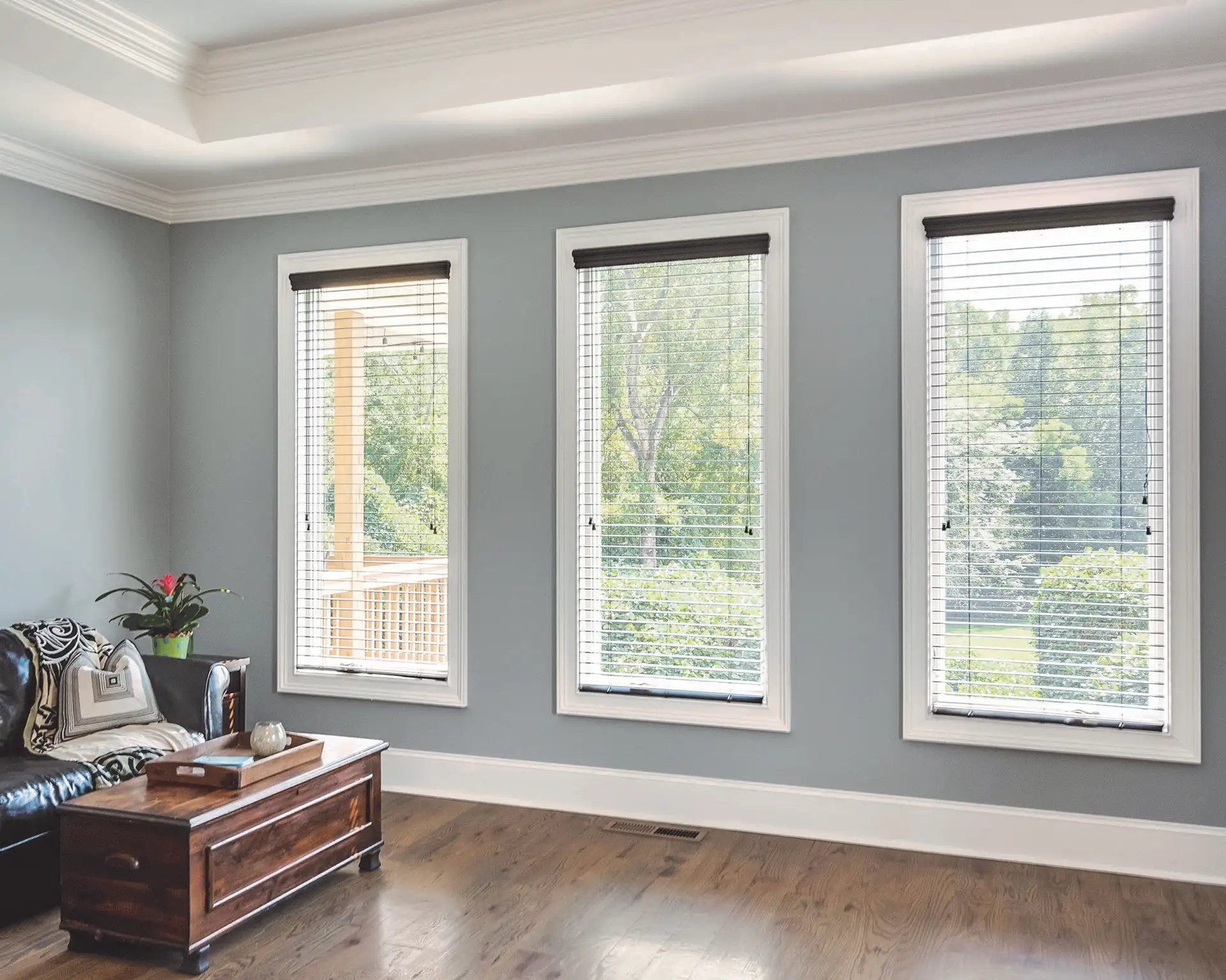 new windows