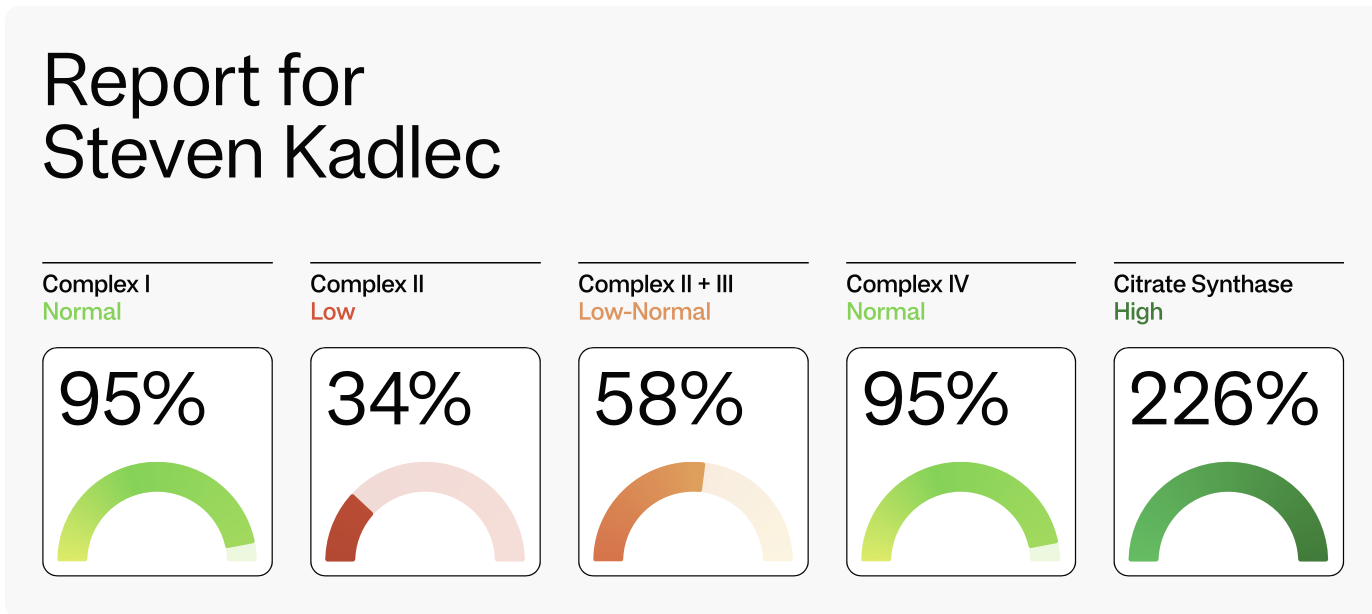 Screenshot 2025-05-01 at 1.01.57 PM.png