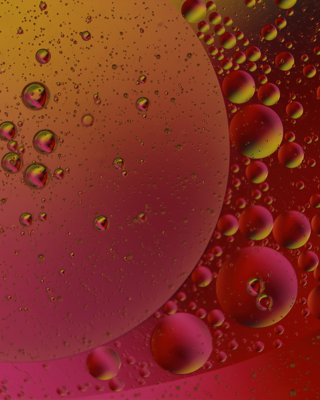 Biomarker analysis reveals how to improve cellular energy and slow aging