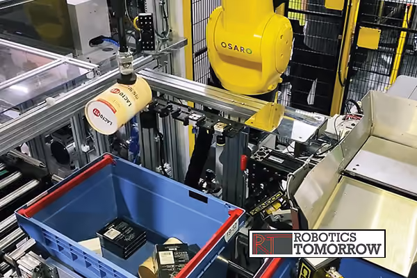 Robot picking item for bagging and shipping