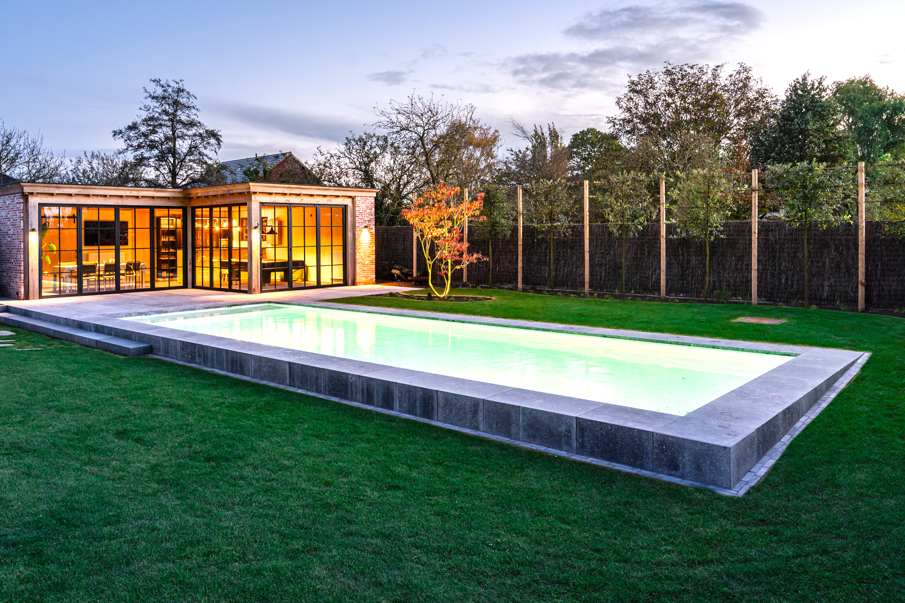 Minimalistisch zwembad met hoge waterlijn en strakke omranding in rustige tuin, met verlicht poolhouse