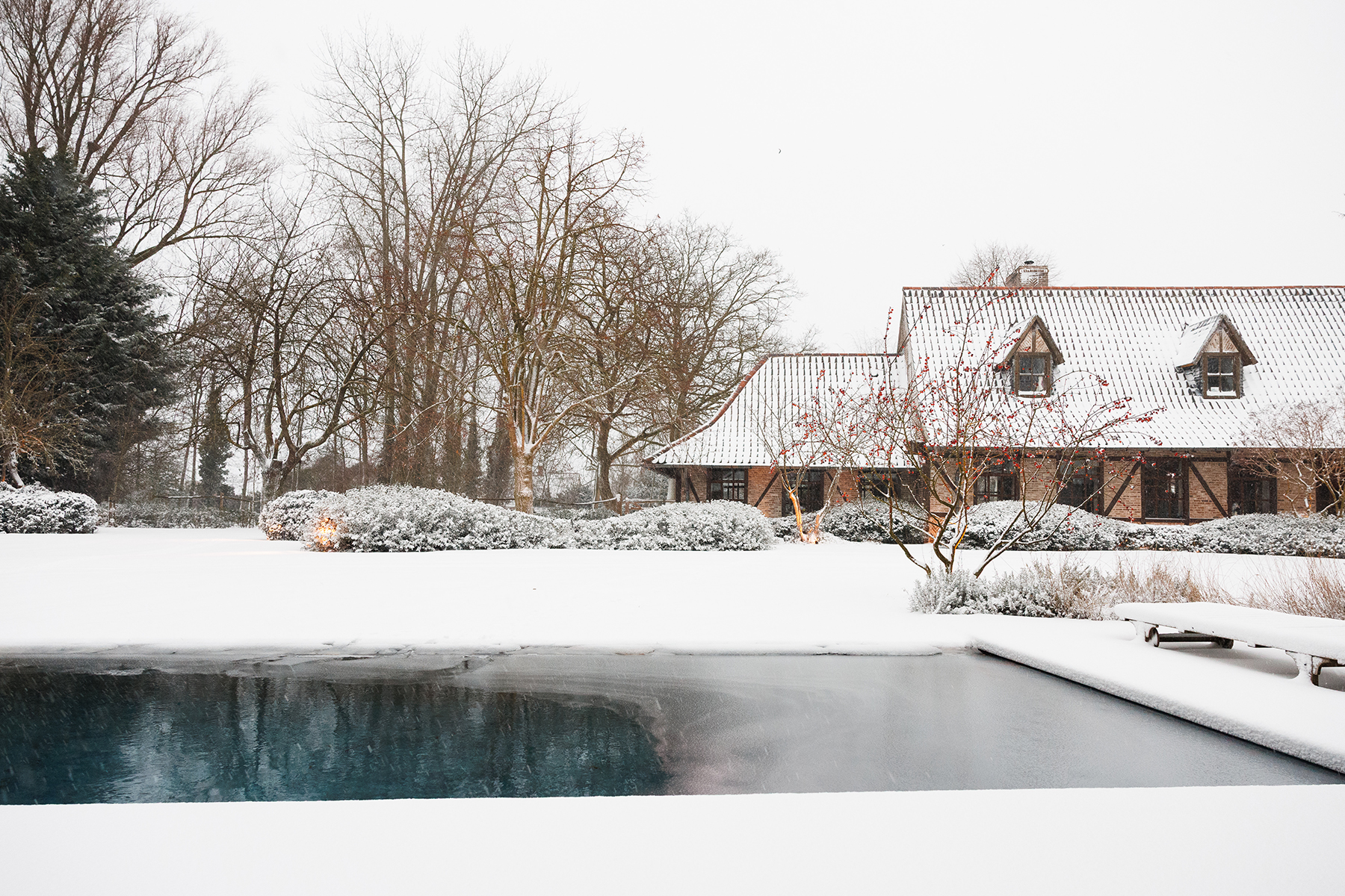 Onze belevingstuin in de winter