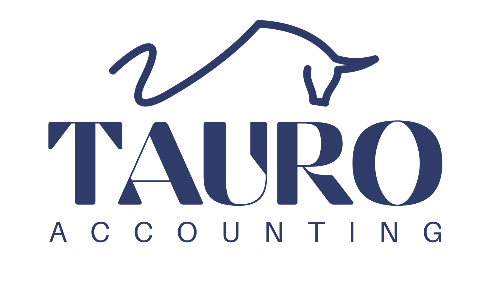 Professional icon - Tauro Accounting 