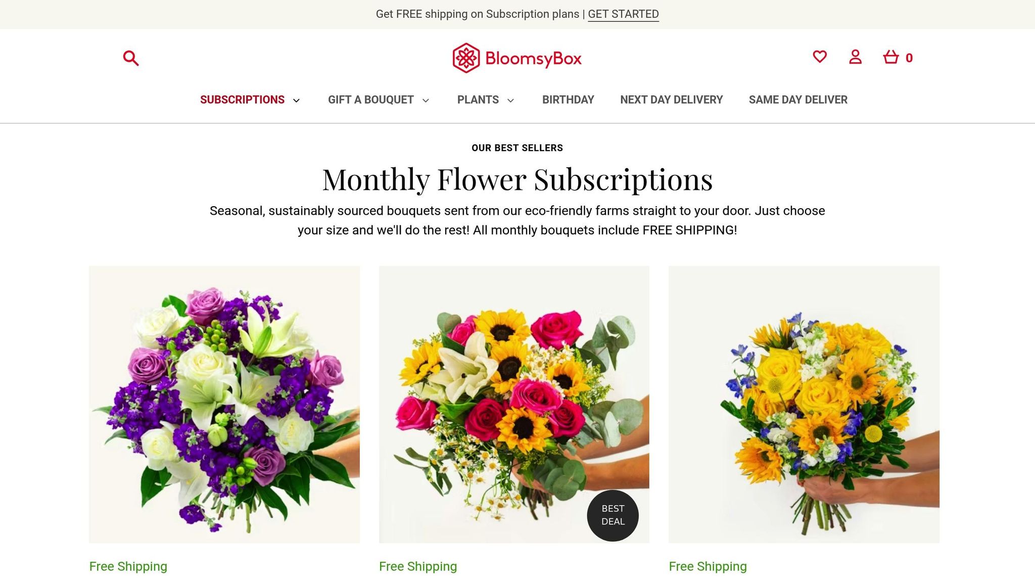 BloomsyBox