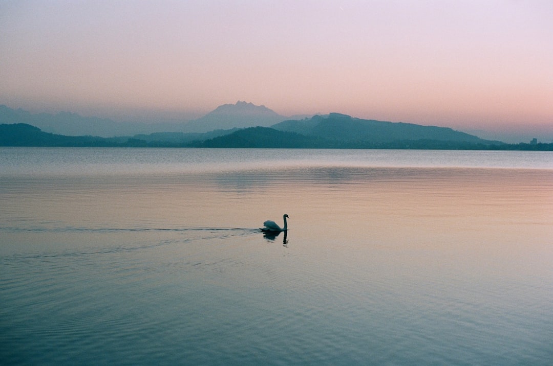 Lake of Canton Zug <3