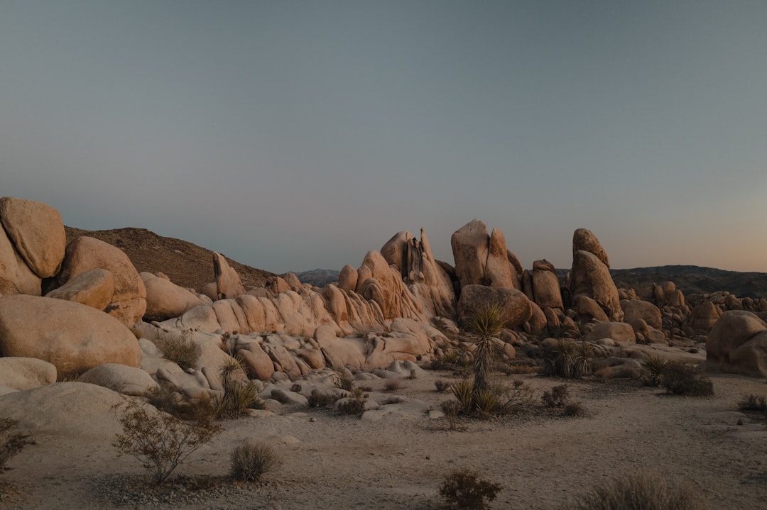 Desert Sunsets