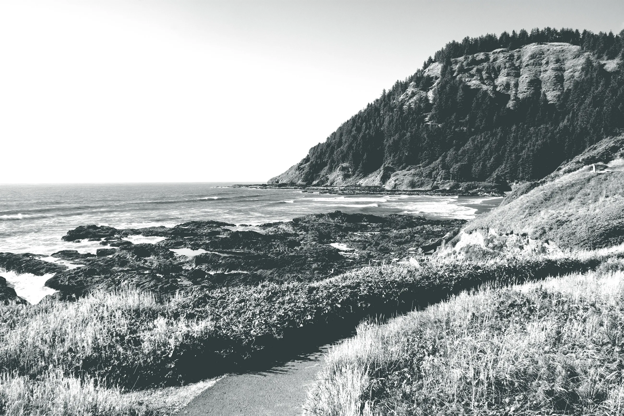 Scenic Oregon coastal trail with ocean and forested cliffs