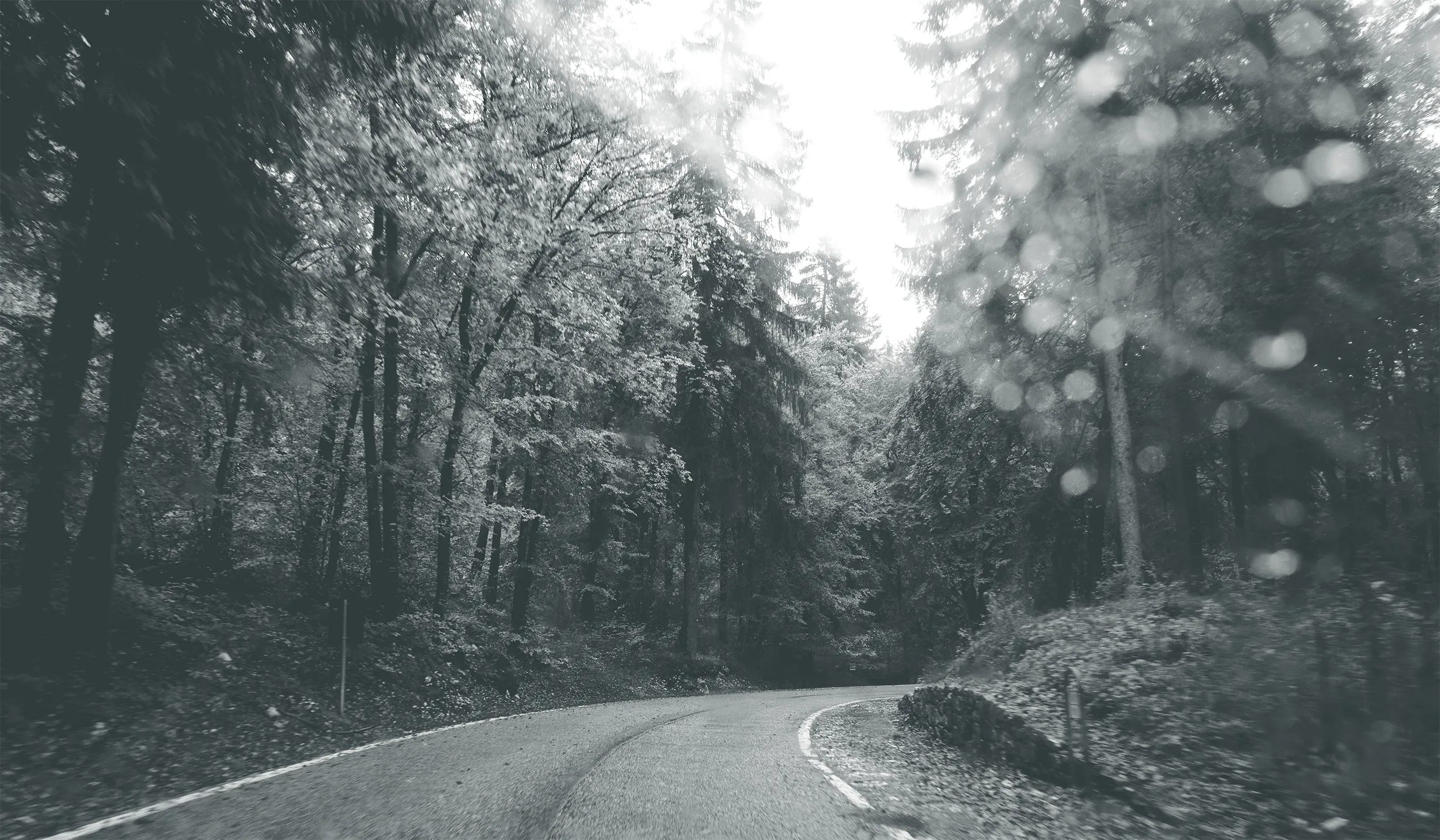 Curving forest road on rainy day with raindrops on lens