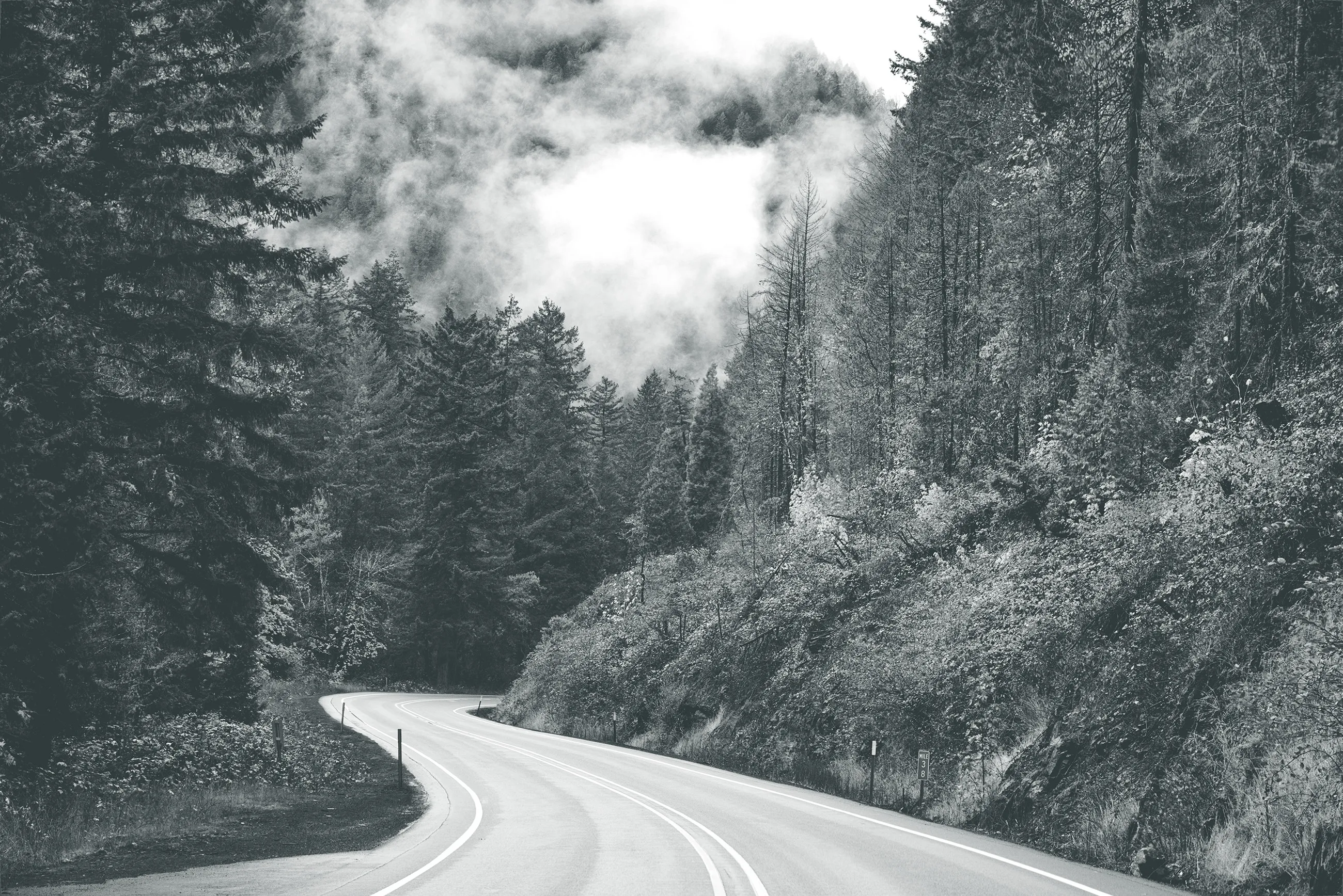 Winding mountain road through forest with fog and mist