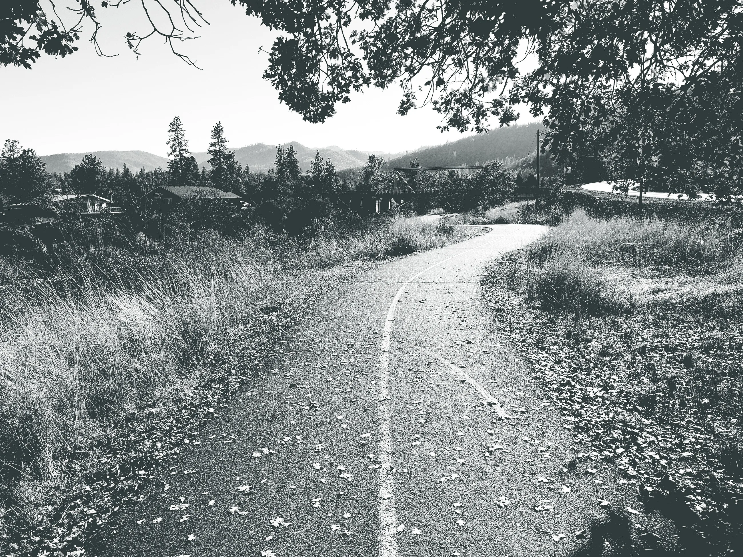 Biking trail curving through autumn landscape with fallen leaves
