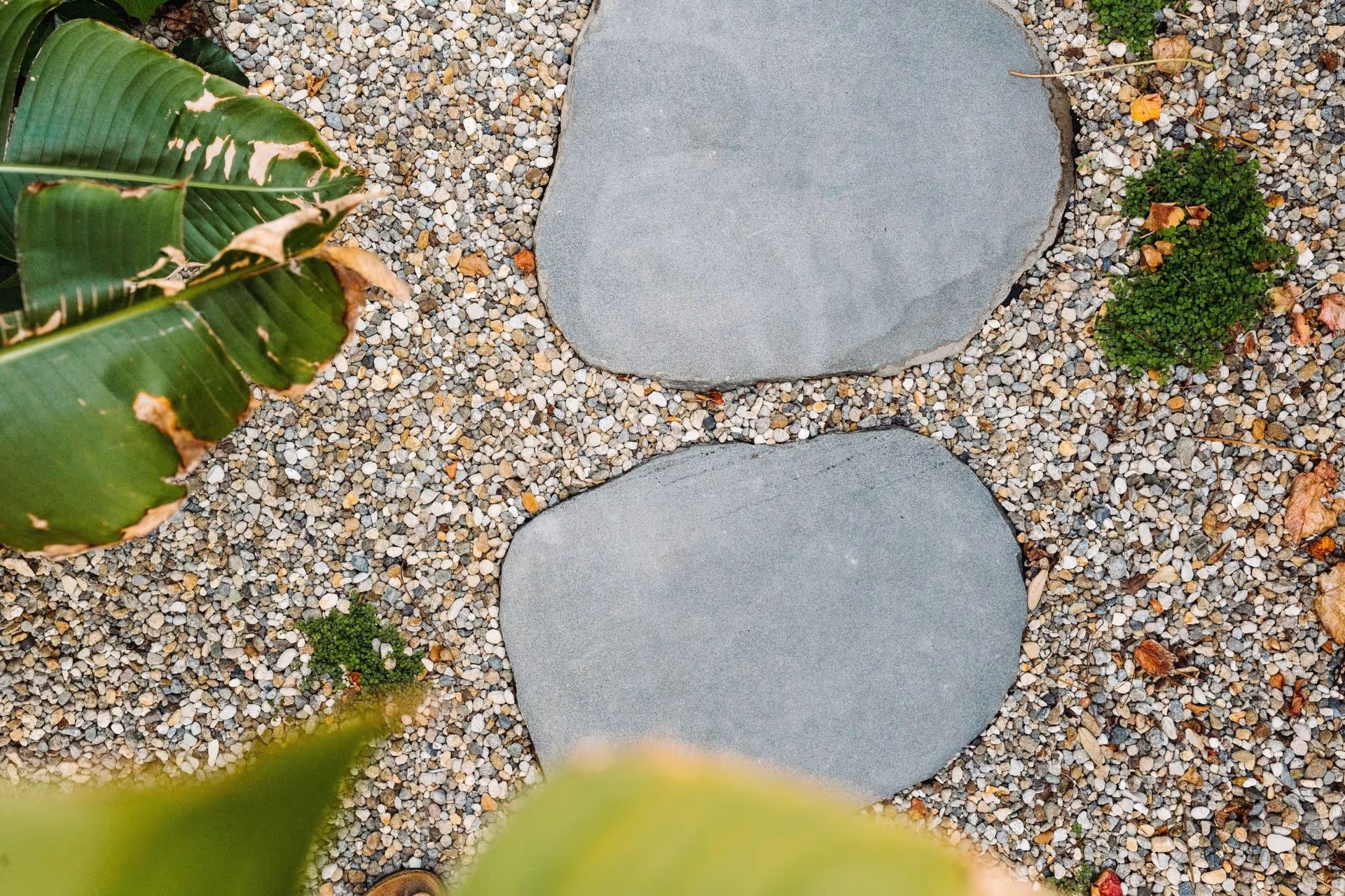 Landscaping Services