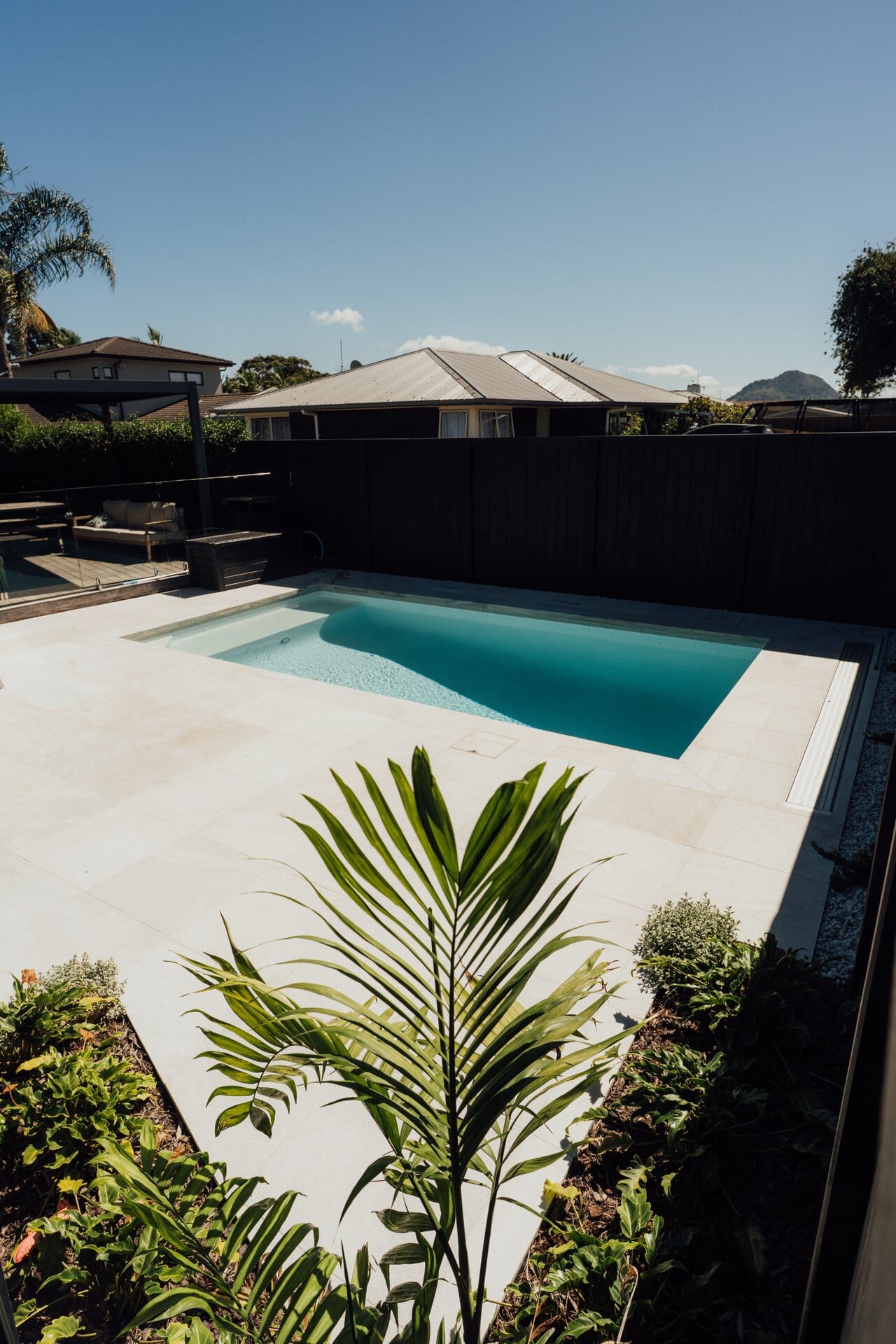 Timber deck with steps leading to glass-walled living area and ornamental grasses at Marine Parade project