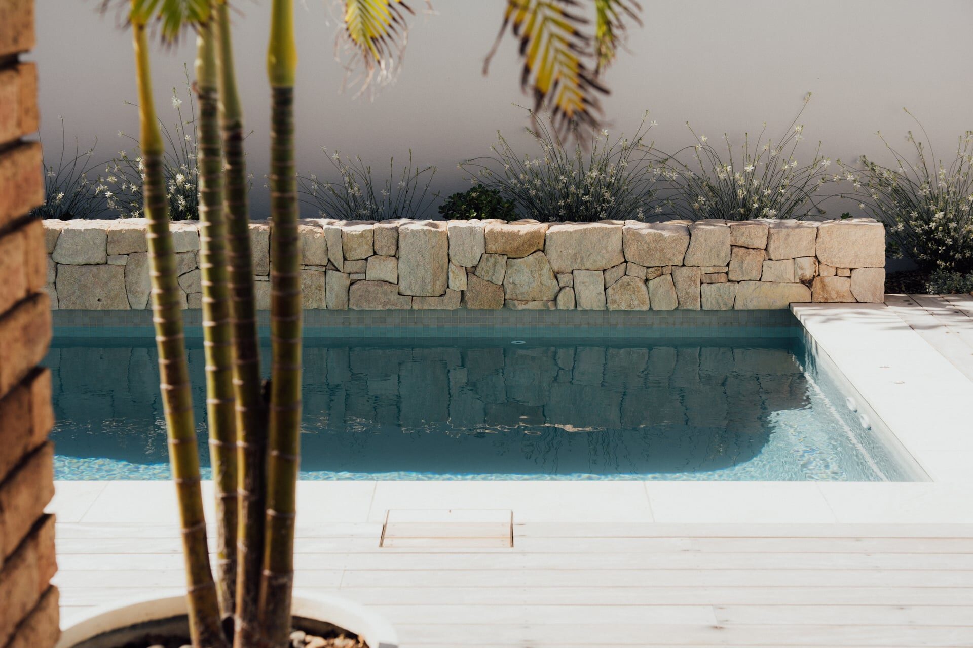 Timber deck with steps leading to glass-walled living area and ornamental grasses at Marine Parade project