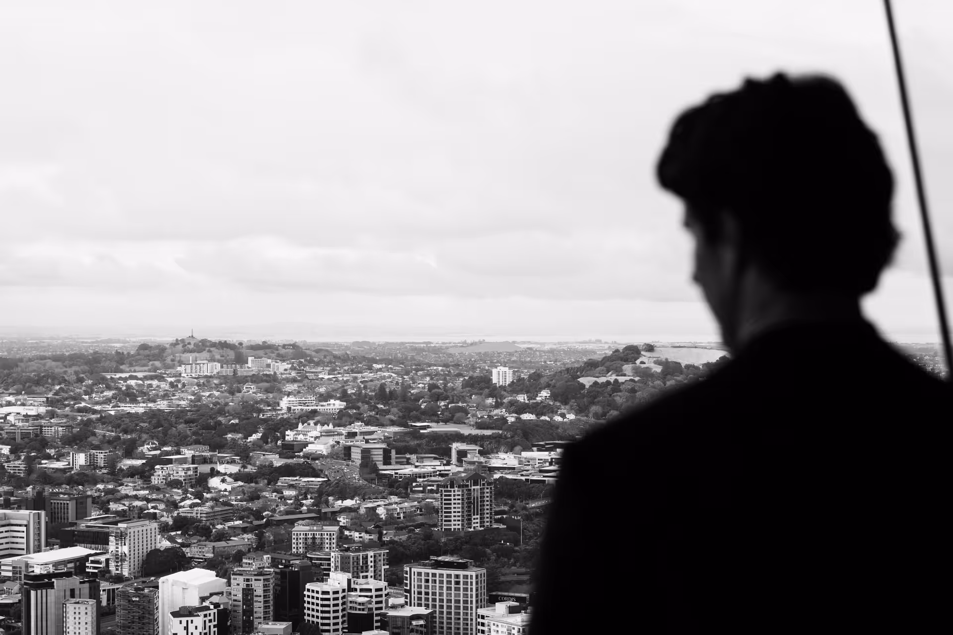 Black and white image of a person looking out over a cityscape with many buildings and hills in the distance.