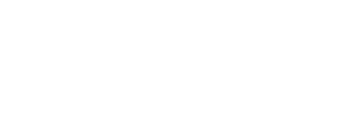 Workshop-Whisperer Company Logo