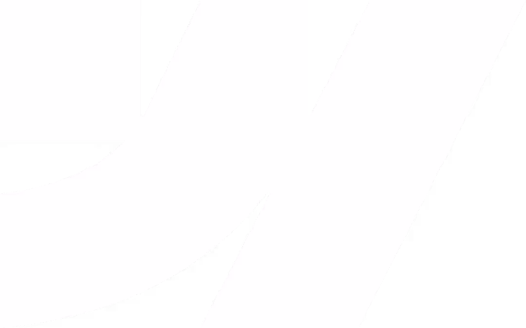 Webflow(website development platform) logo in white