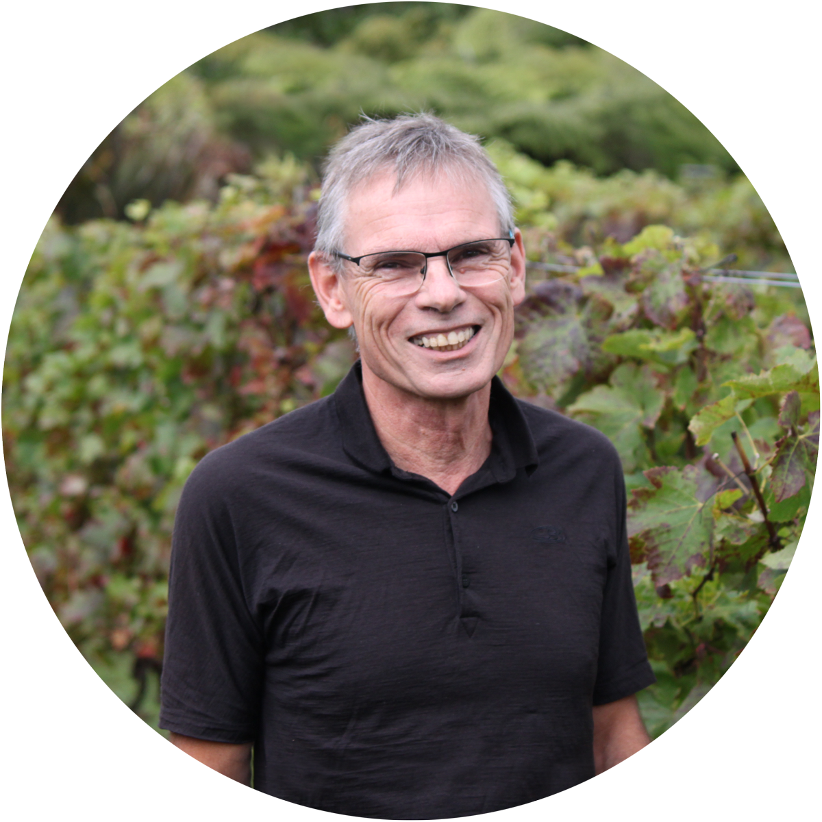 Gerard Besamusca founded Integrape