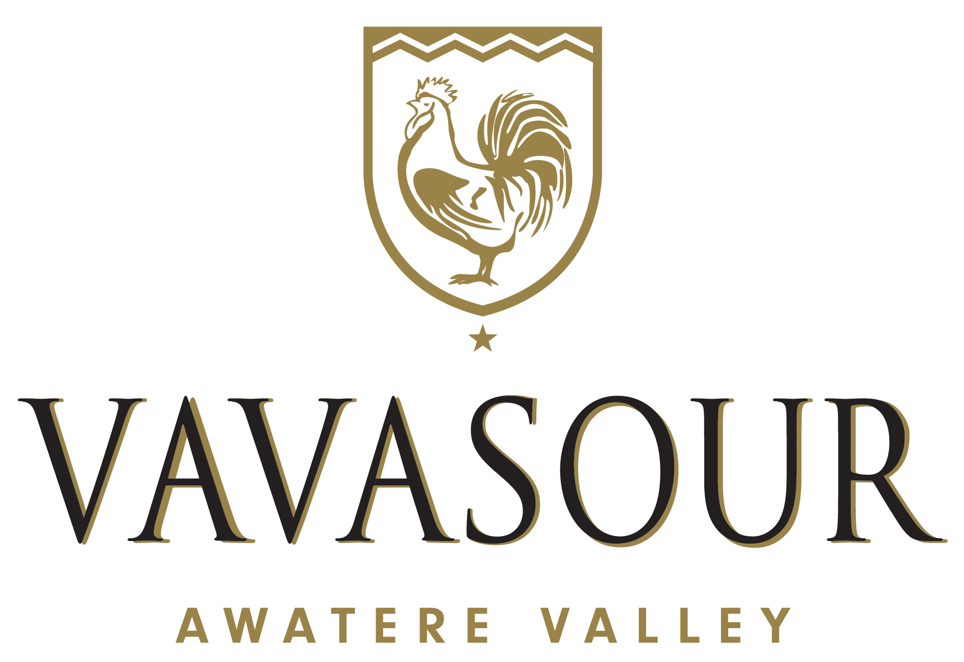 vavasour logo integrape