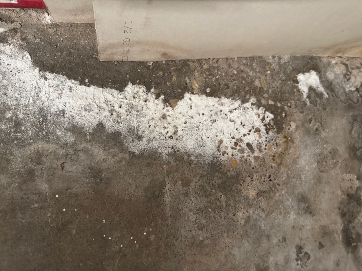 White efflorescence salts on a concrete slab where moisture has pushed up through the floor