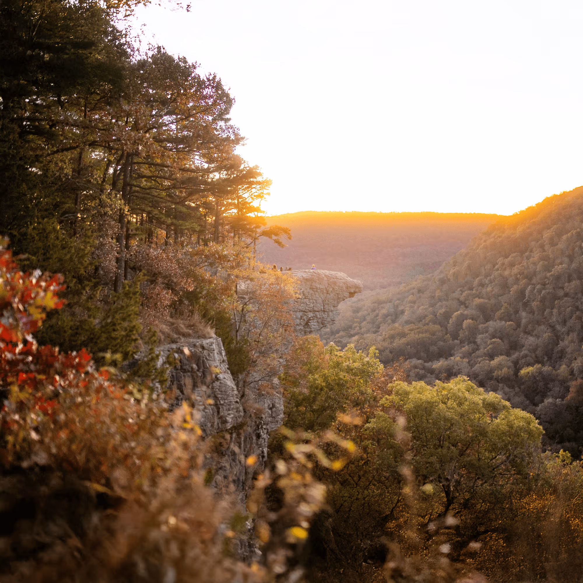 The Ozark Mountains.