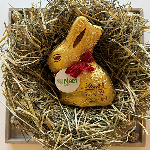 Frohe Ostern 🐰☀️