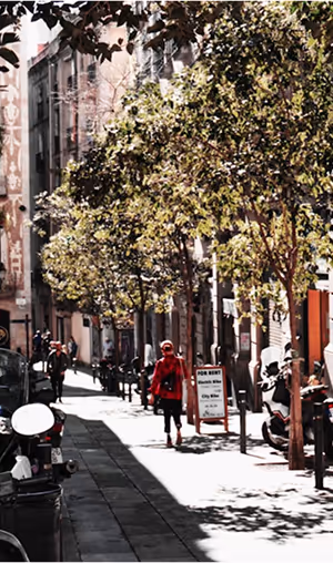 Amazing Barcelona
