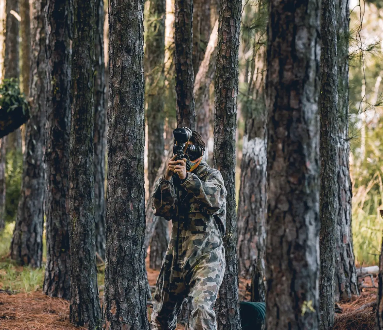 A person wearing a camouflage outfit and a paintball mask aims a paintball gun while standing among tall pine trees in a forested area.