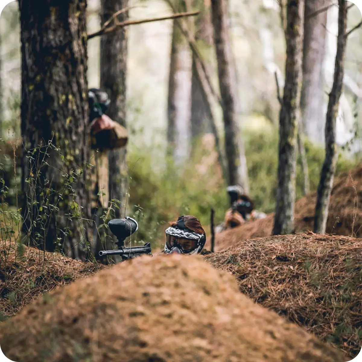 A paintball field in a forested area, featuring trees and covered terrain. Players in camouflage can be spotted behind trees, preparing for paintball games. The scene showcases the natural environment of Central Coast paintball and PPK Paintball Kulnura.