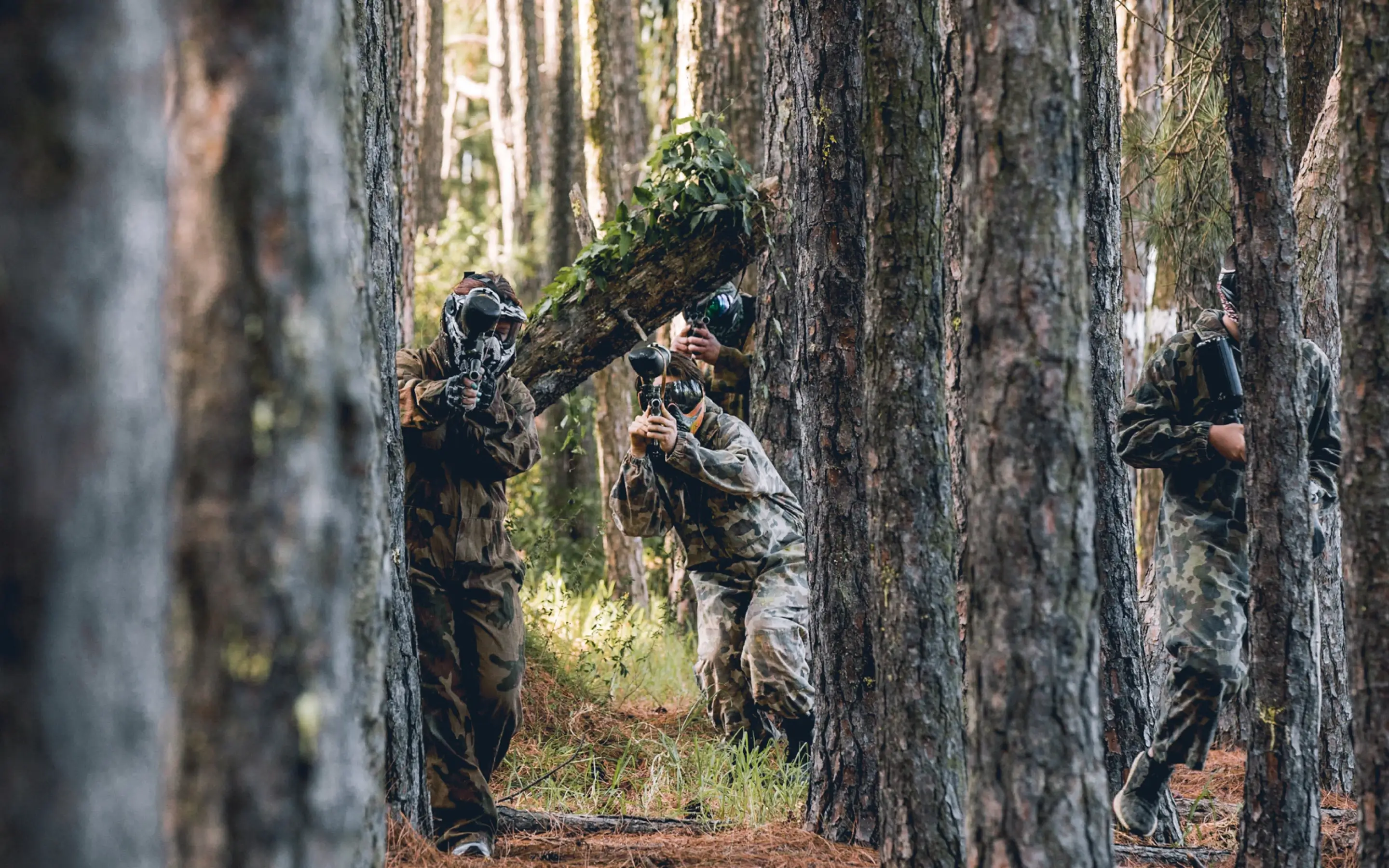 A group of players in camouflage gear engaged in a paintball match among tall trees in a dense forest. They are crouching, holding paintball markers, and using fallen branches for cover.