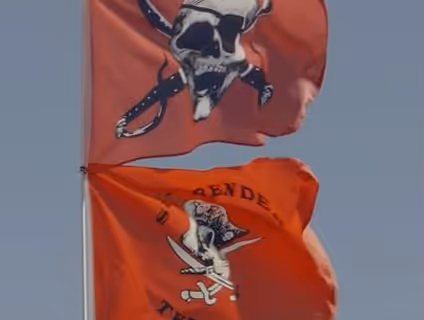 video img