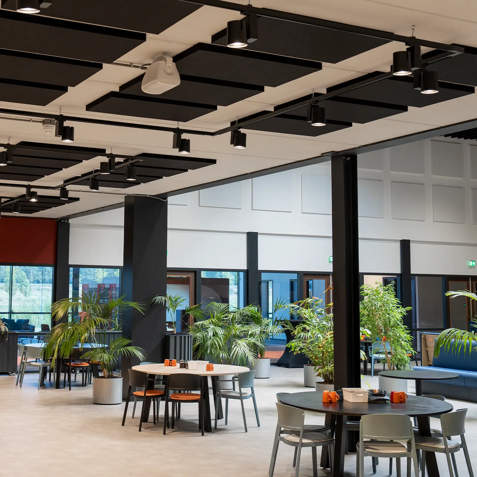 Interieur van een sociale werkplek met akoestische plafondpanelen voor verbeterde ruimteakoestiek.