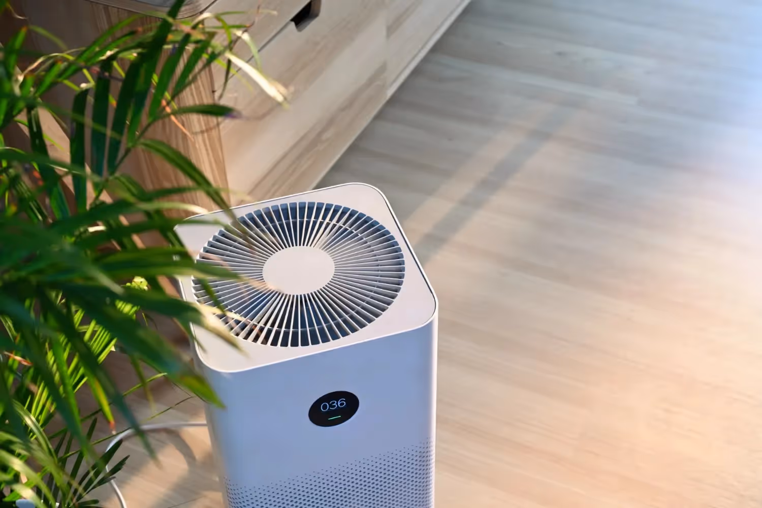 An air purifier, seen from above, sits on a wooden floor next to a green plant. The top of the unit has a circular fan vent and a digital display showing a number.