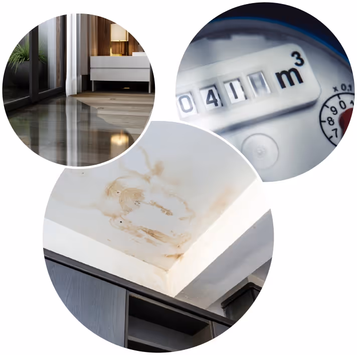 Water damage restoration service in Phoenix, focusing on leak detection and repair for affected properties.