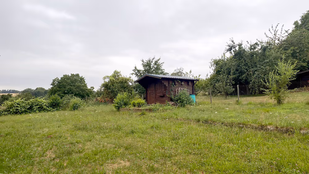 Ein grosser verwucherter Garten mit einem Gartenhaus, der von GRAVITAS geräumt wird.