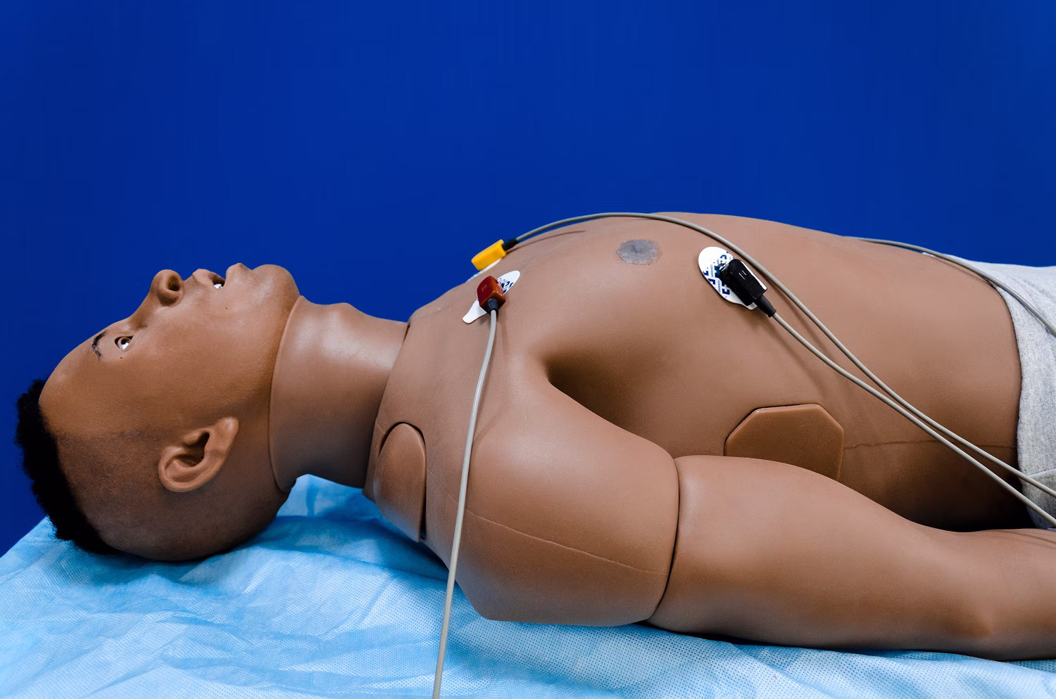 Features Leonardo Adult Patient Simulator
