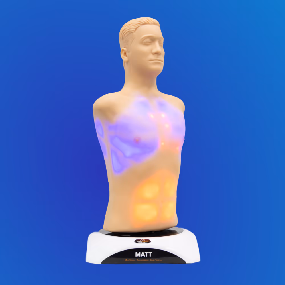 matt auscultation simulator