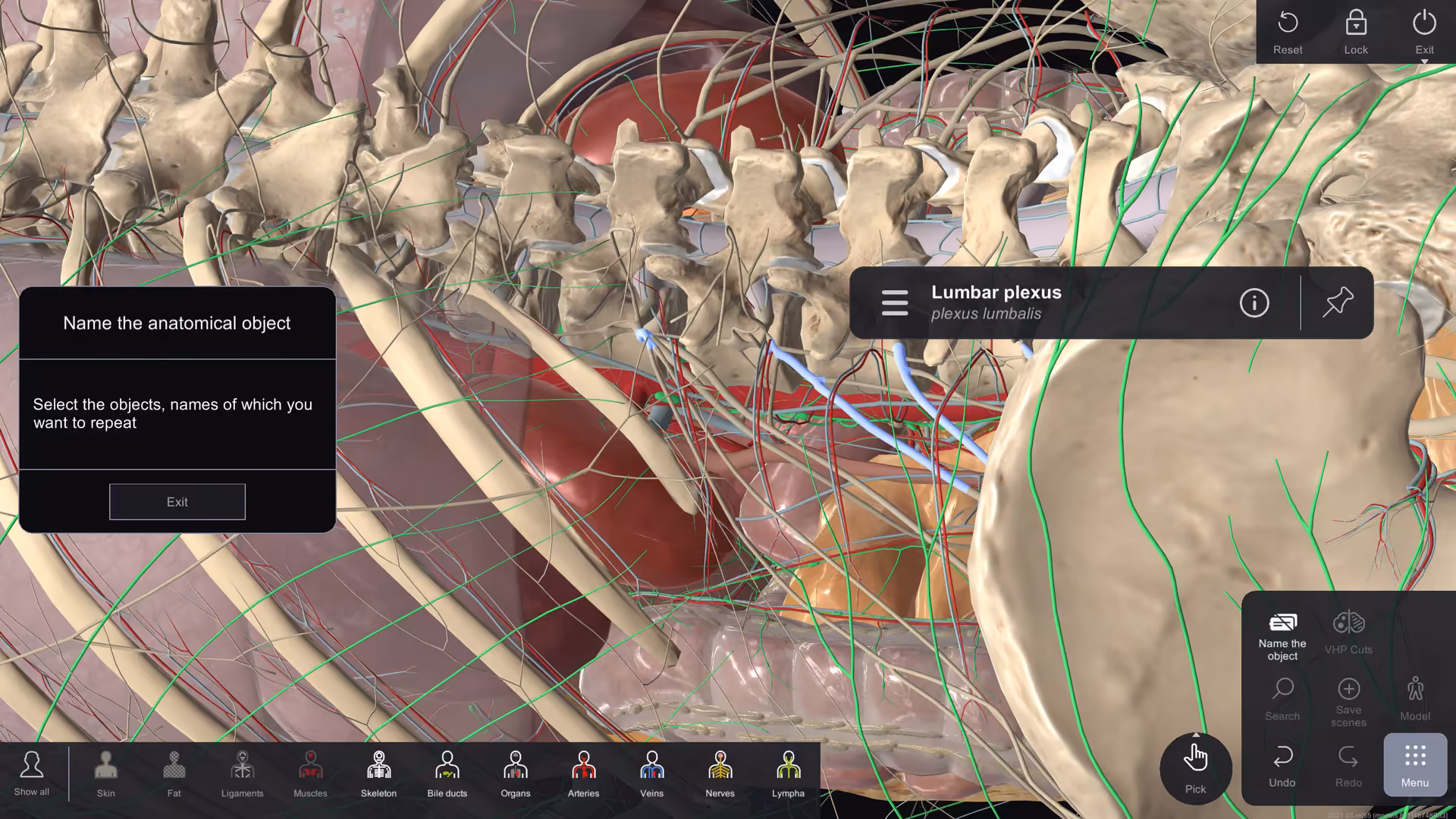 anatomy table interface