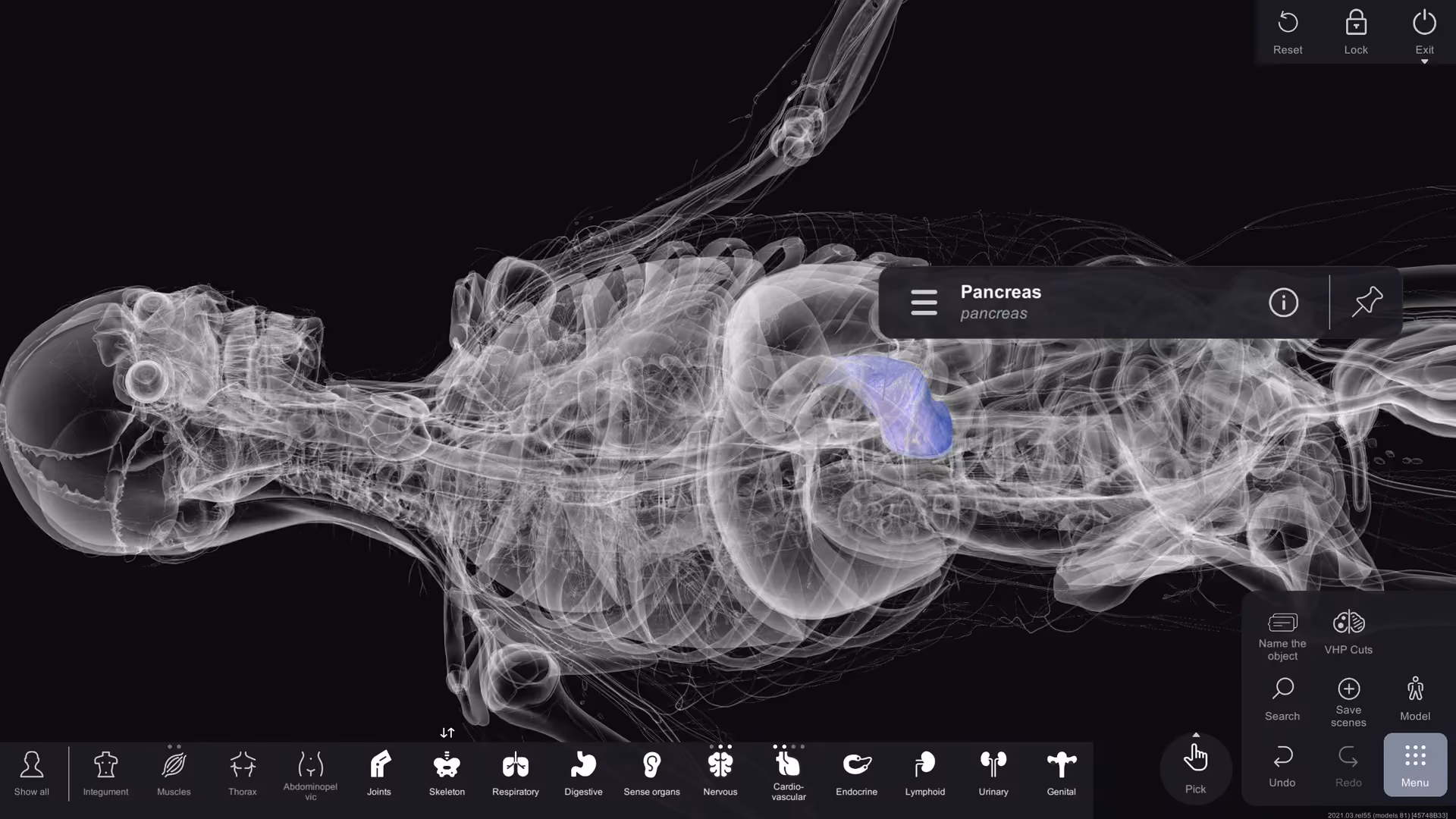 anatomy table interface