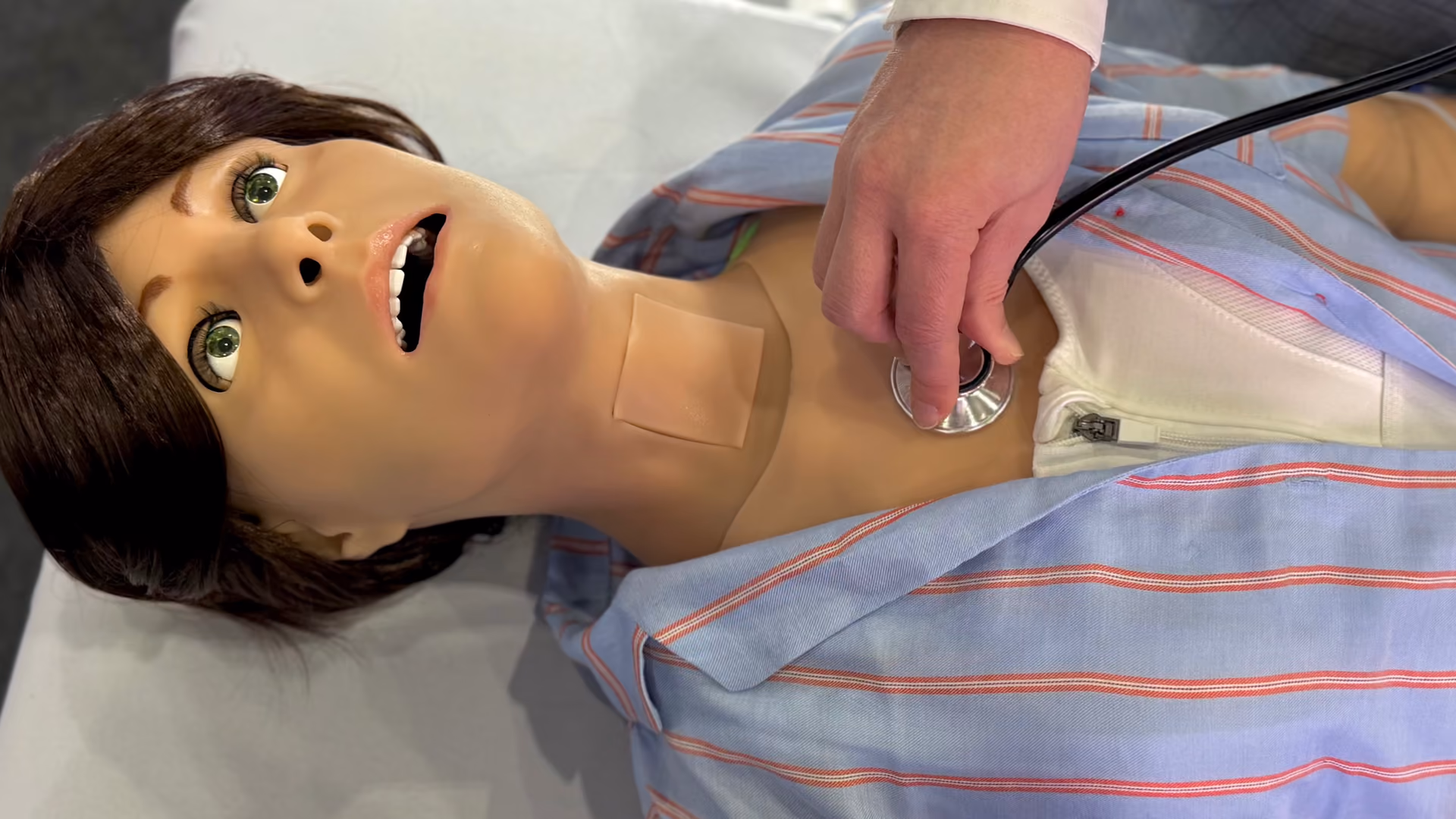 Software Leonardo Adult Patient Simulator