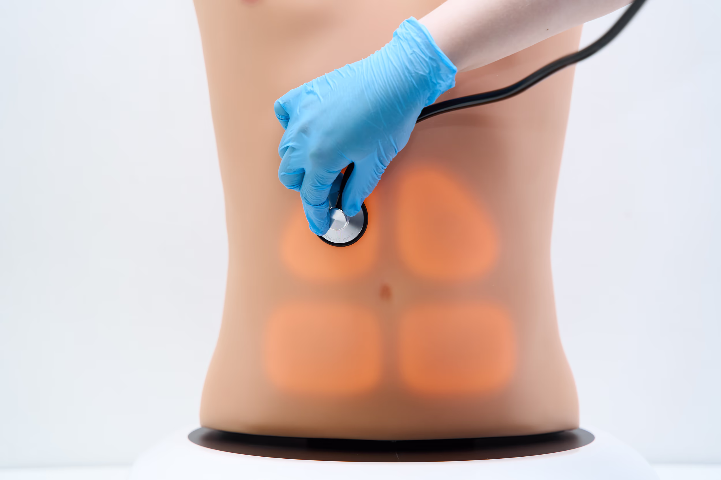 Cardiac, Pulmonary & Abdominal Auscultation